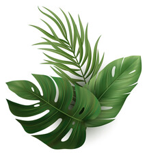 Summer Tropic Palm Leaf Vector Exotic Jungle Plant for Beach Vibes and Hawaiian Floral Scene