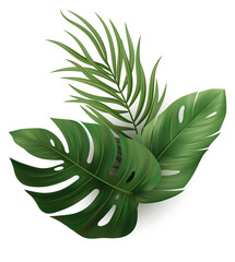Summer Tropic Palm Leaf Vector Exotic Jungle Plant for Beach Vibes and Hawaiian Floral Scene © vik_y