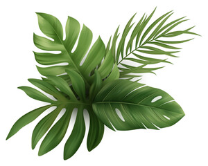 Tropical Monstera Palm Leaf Vector Exotic Beach Plant for Summer Vibes and Hawaii Jungle Flora