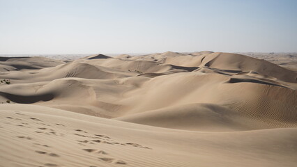 Wüstenlandschaft mit Dünen