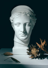 bust of the Greek goddess on a dark background with dry leaves © Angelina Zhuravleva 