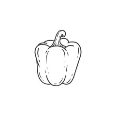 bell pepper illustration in doodle style. Hand drawn Bulgarian pepper. Fresh vegetable  isolated on white background.  Sketch. Vector illustration