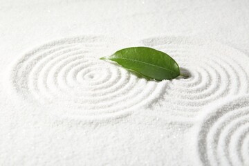 Fototapeta na wymiar Zen rock garden. Circle patterns on white sand and green leaf, closeup
