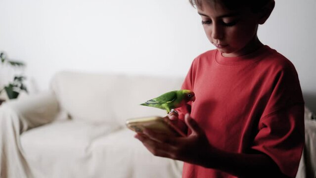 Bird And Child Having Fun At Home Wile Using Mobile Phone At Home. Animal Pets And Technology Concept