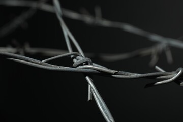 Metal barbed wire on dark grey background, closeup