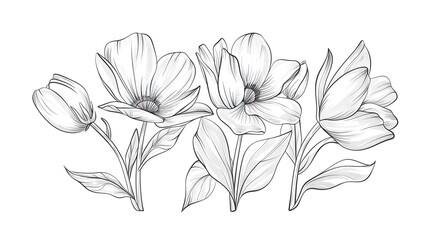 Hand drawn flower continuous. Spring flower with leaves. Botanical decorative drawing element