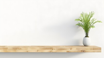 Wood shelf with plant in pot on white wall background.