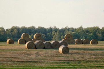 Scenic view of hay bales in rural Poland