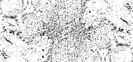 Rough black and white texture vector. Distressed overlay texture. Grunge background. Abstract textured effect. Vector Illustration. Black isolated on white background. EPS10
