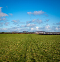 Fototapeta na wymiar field and blue sky Cornwall 