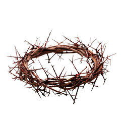Fototapeta premium Cown of thorns on white or transparent background