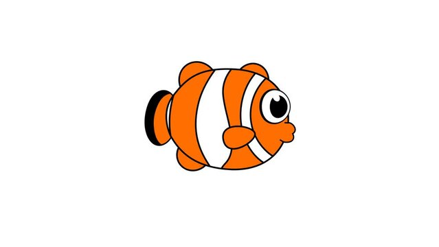 Animated fish. Clown fish swim dancing from left to right. Side view. Transparent 4K Alpha Channel. Seamless loop. Perfect for Children's events, marine life, nature or wildlife documentaries.