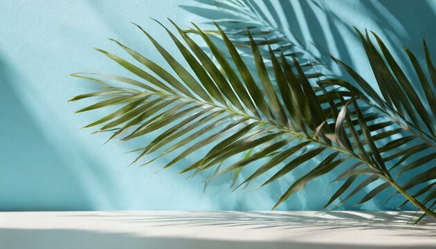 Série d'éclaboussures de couleurs. Conception de fond de peinture fractale et texture riche .jpg, Firefly Ombre floue des feuilles de palmier sur le mur bleu clair. Arrière-plan abstrait minimal pou