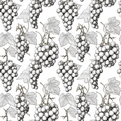 Grape Sketch Seamless Pattern, Hand Drawn Vine Grapes, Sketched Vineyard Design, Engraving Berries