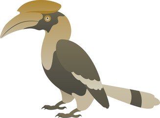 Vector color illustration of hornbill bird standing. African wild animal isolated on white background. Wildlife of Africa.