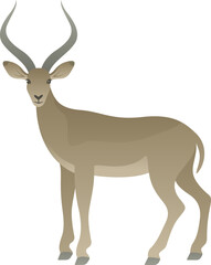 Vector color illustration of beautiful impala or antelope standing. African wild animal isolated on white background. Wildlife of Africa.