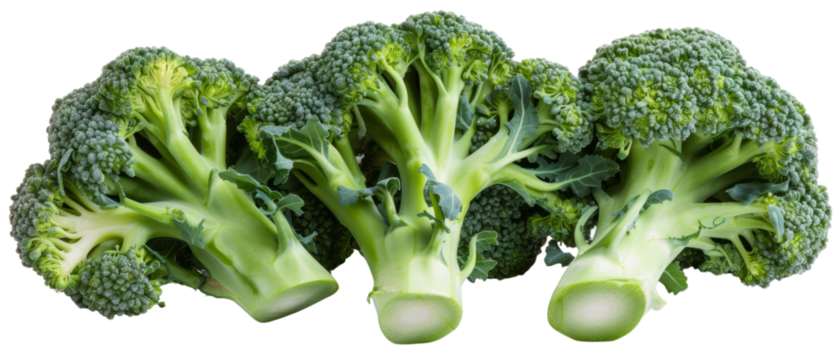 Three green broccoli lined up on a transparent background. Fresh green broccoli is good for health. Broccoli for a healthy food-themed design. Created with Generative AI.