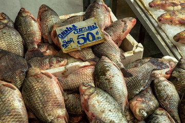Carp, a freshwater fish for sale at the fishmonger's stall,