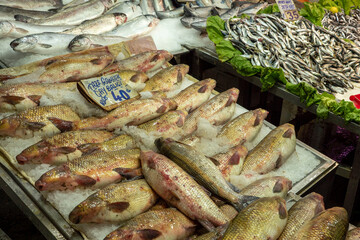 Carp, a freshwater fish for sale at the fishmonger's stall,