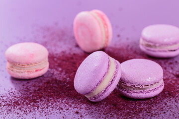 Close up of Pastel colored sweet french macaroons and splash of dry blueberry powder on purple background. Beautiful composition for bakery and pastry shop