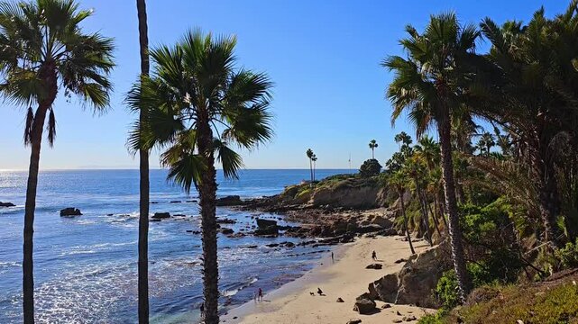 Sunny Laguna Beach ocean shoreline with palm trees at Heisler Park, California, USA