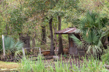 Abandoned Wood Shack on the Shore in Maurepas Swamp, Louisiana  - 746109813