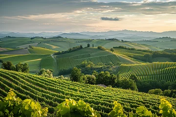 Zelfklevend Fotobehang A panoramic view of a beautiful wine region with rolling hills and vineyards © Formoney