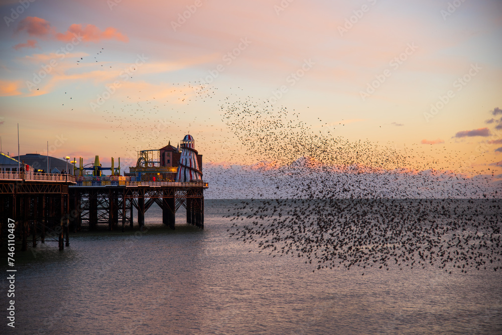 Wall mural The spectacular starling murmuration over Brighton Pier - Wall murals
