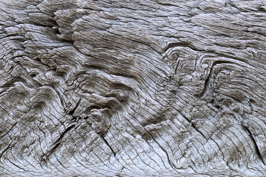 oak wook section background