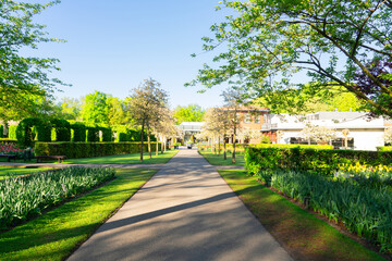 road in fresh spring garden with flowers and greenery, Netherlands