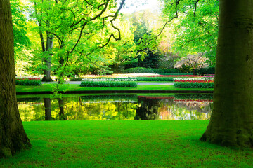 fresh spring garden with green trees, fresh grass and river spring