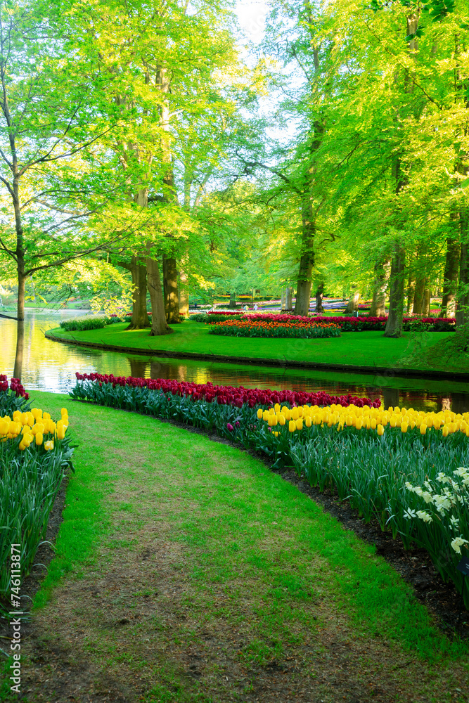 Canvas Prints colourful tulips flowerbeds and green grass path in an spring formal garden