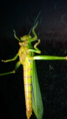 vivencias de una vida de viajes.