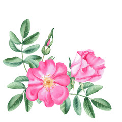 Watercolor dog rose bouquet, corner composition from flowers, leaves and berries isolated on white background. Botanical hand drawn illustration.