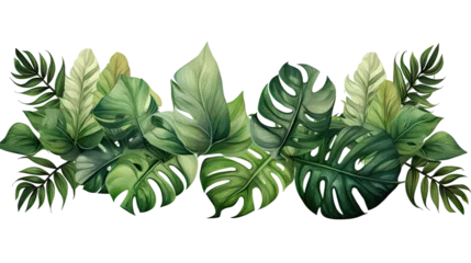 Poster Monstera Compotition of tropical leaves on transparent background for 