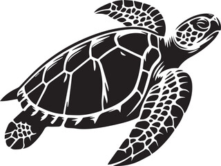 Turtle Silhouettes EPS Turtle Vector Turtle Clipart	
