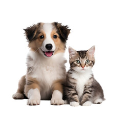 Dog and Cat: A Portrait of Friendship and Amazing Friendliness, Featuring a Happy Puppy and Kitten Looking at the Camera Together, Isolated on Transparent Background, PNG