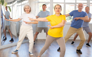 Fototapeta premium Group of aged people rehearsing sports dance in dance hall
