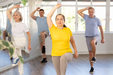 Positive elderly woman practicing Tai Chi with group of aged people, promoting health and wellness in bright training room