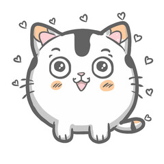 graphics  white fat fluffy cat kawaii