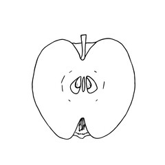 Hand drawn vector illustration of half an apple. Healthy food ingredient. Black and white outline drawing. For packaging, menus, cards, printing, invitations, business cards, advertising.