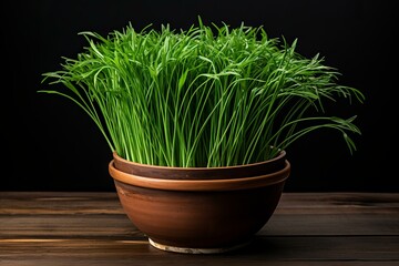 Aromatic Potted green chives. Fresh summer food. Generate Ai