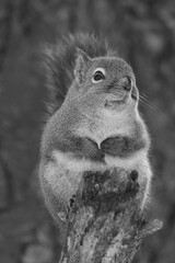 La Plaine 25 Février 2024