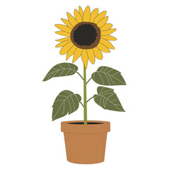 Obraz premium Icon illustration of a sunflower plant in a clay pot, isolated on transparent background