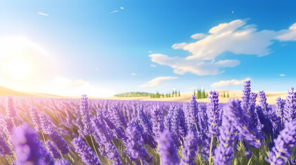 Obraz premium A field of lavender flowers with a blurry sky in the background