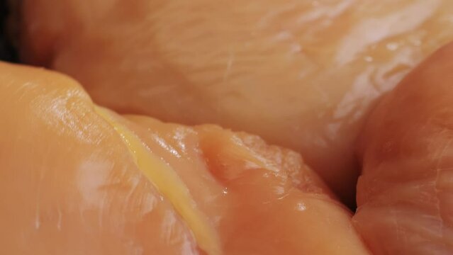 Raw chicken meat on plate close-up. Preparing raw food for cooking. Grilled chicken, duck, turkey kebab with vegetables.