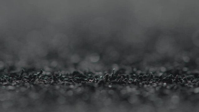 Macros of Metallic shavings and magnets