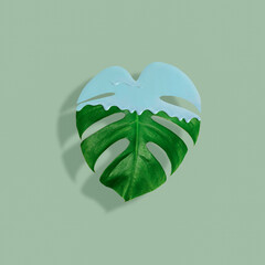 Trendy Pop Art collage made from blue paint which is dripping, leaking and pouring on over tropical leaves on green pastel background.Trendy composicion, creative art minimal aesthetic