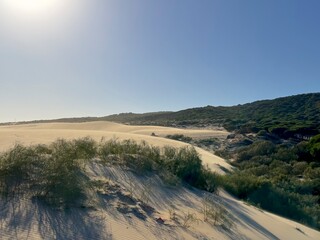 large sand dune of Valdevaqueros meets pine forest, Tarifa, Costa de la Luz, Andalusia, province of...