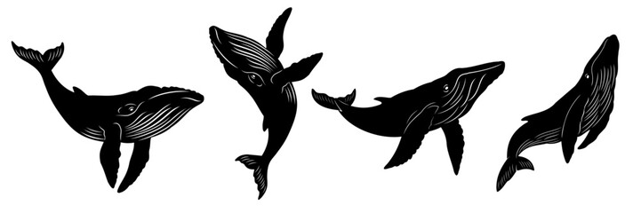 whale silhouette set © Is
